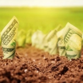 Money Farmers