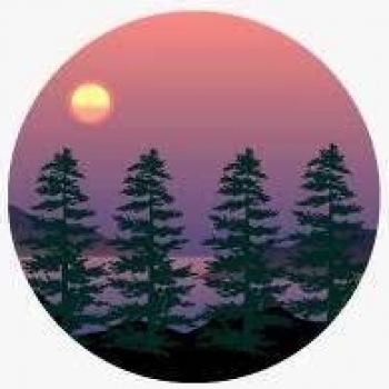 Helpseedtoken Presale