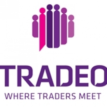 Making the most of the markets through Social Trading with Tradeo