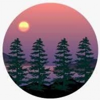 help seedtoken