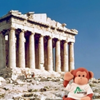 Greece Monkey