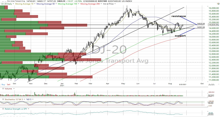 DJT Daily Chart