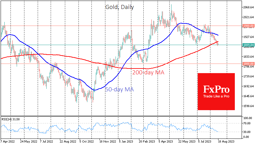 Gold looks locally oversold 