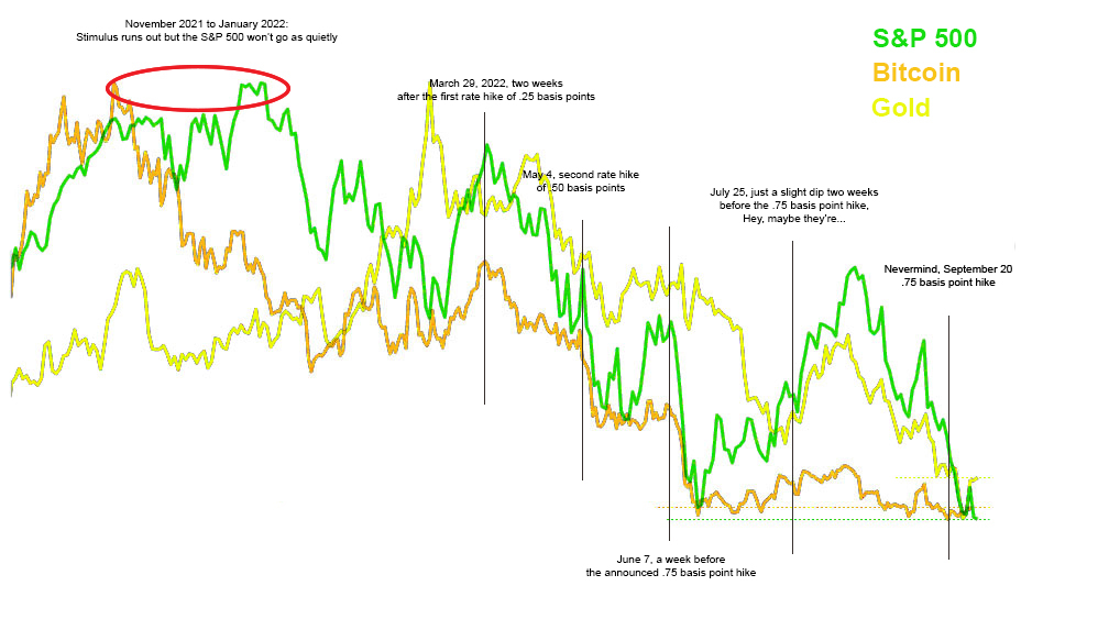 Bitcoin vs S&P 500 vs Gold