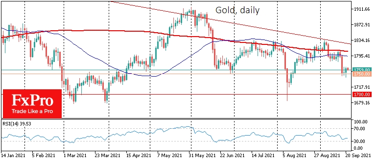 Gold showed no sign of fear on falling markets yesterday