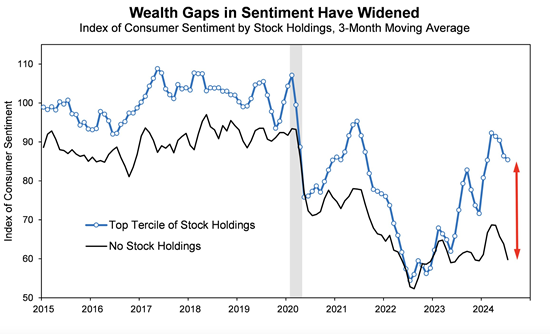 Wealth Gaps in Sentiment