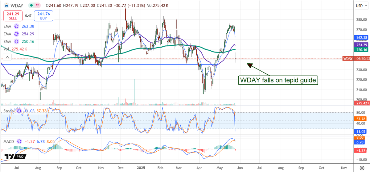 WDAY Stock Chart 