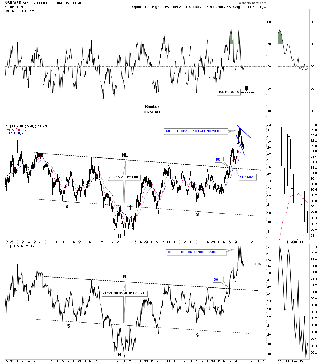 Silver-Daily Chart