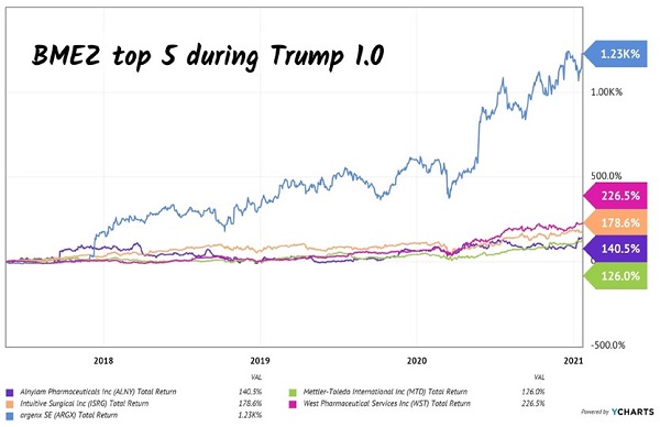 BMEZ-Top Holdings During Trump