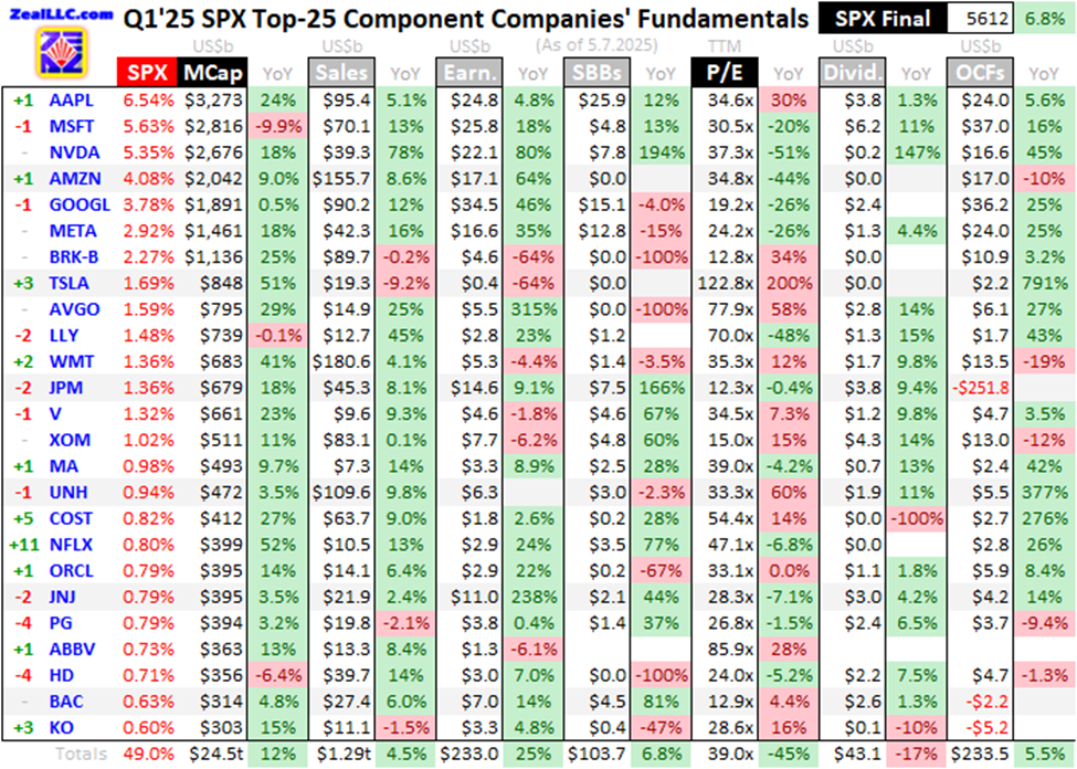 Q1â€™25 SPX Top-25 Component Companiesâ€™ Fundamentals
