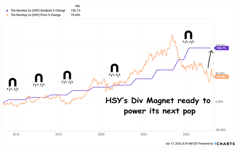 HSY-Magnet