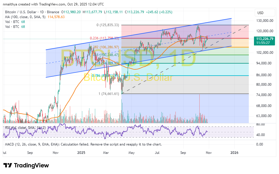 844a85bf-d543-46d6-8ab6-556cf5154359.png: Bitcoin (BTC/USD) Daily Chart