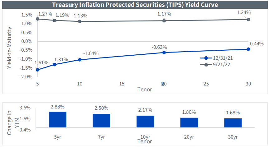 TIP Yield Curve