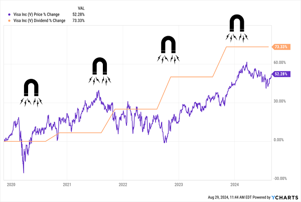 Visa-Dividend Magnet