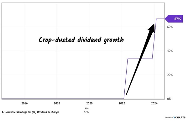 CF-Dividend