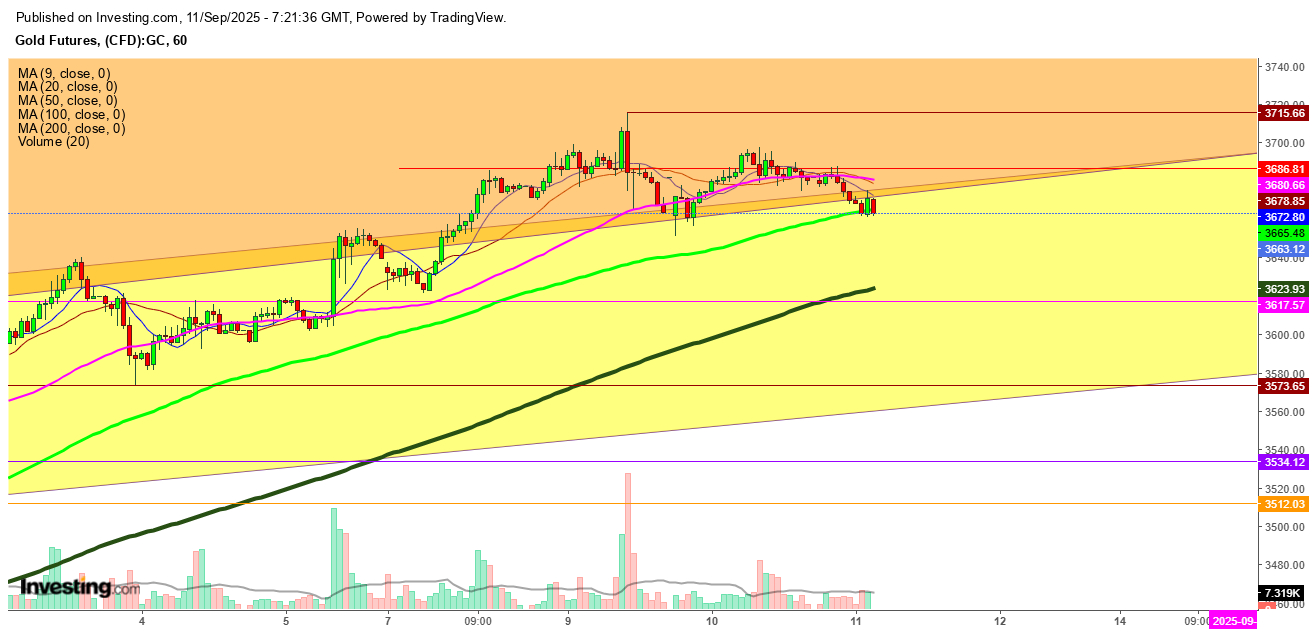 Gold Futures 1-Hr. Chart