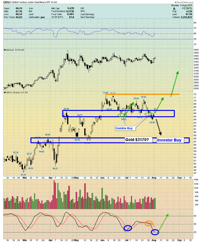 GDXJ Junior Miners ETF Chart