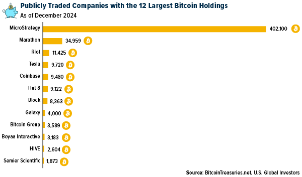 Companies With Largest BTC Holdings