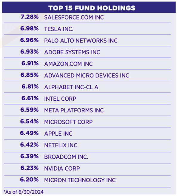 FEPI-Holdings