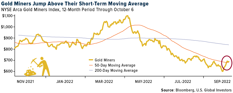 Gold Miners 1-Year Chart