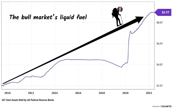 Liquid Bull Market