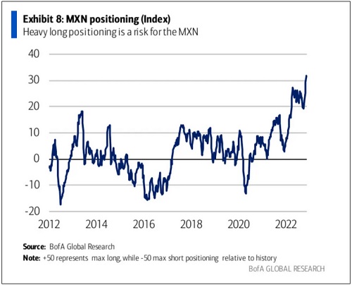 MXN Positioning Index