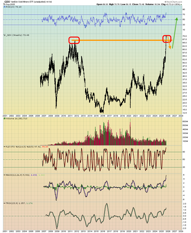 GDXJ Daily Chart – Reversal Pattern