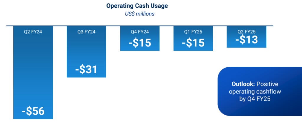 Operating Cash Usage