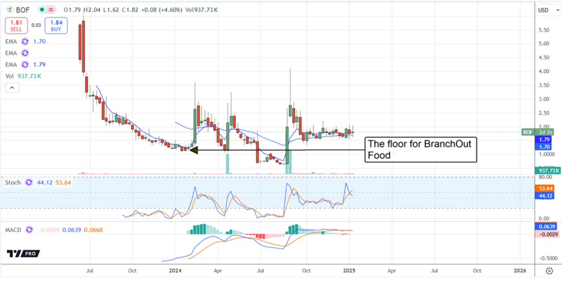 BranchOut Food BOF stock chart