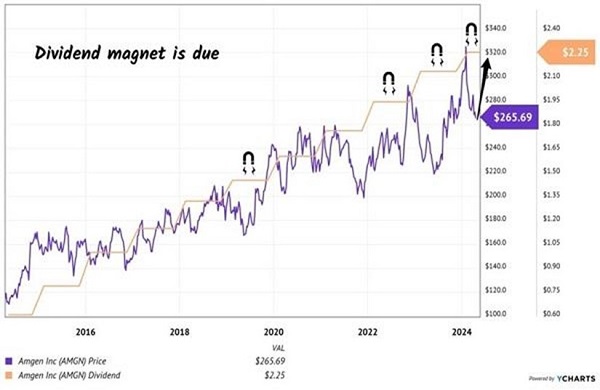 AMGN-Dividend Magnet