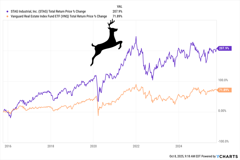 STAG-Outperforms STAG-Outperforms