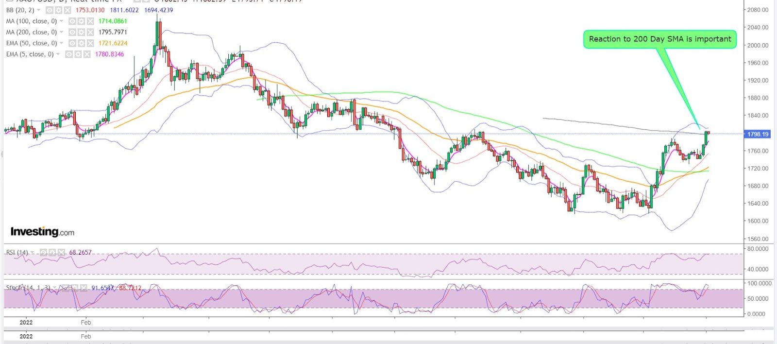 Spot Gold Daily