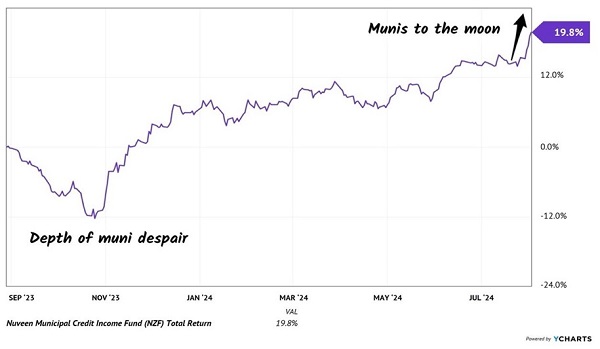 NZF-Total-Returns