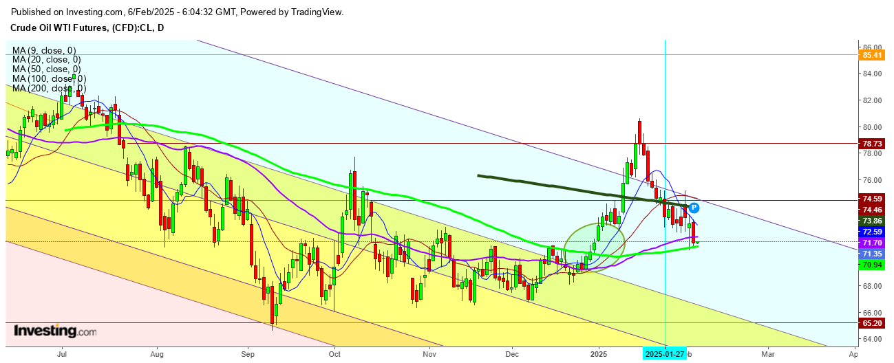 WTI Crude Oil Futures Daily Chart