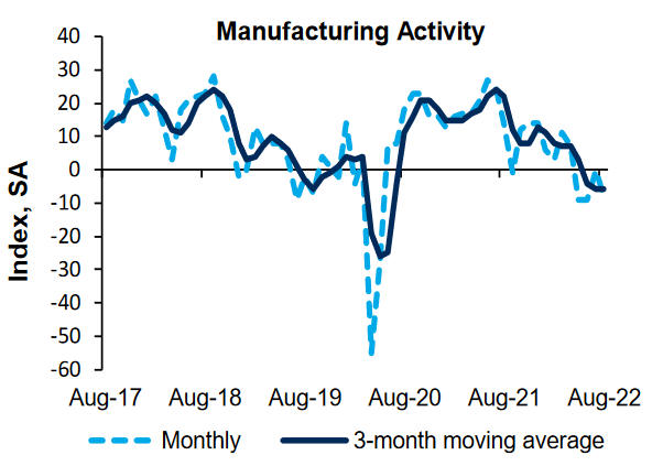 Manufacturing Activity
