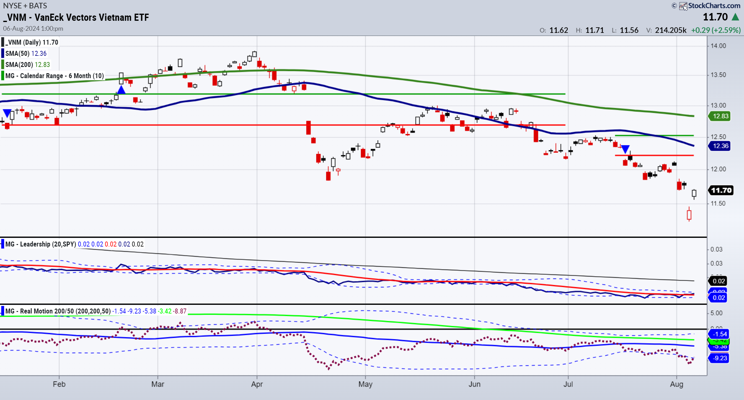 VNM ETF-Daily Chart