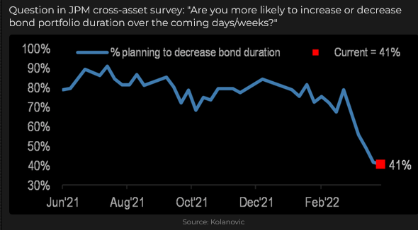 JPM Cross-Asset Survey
