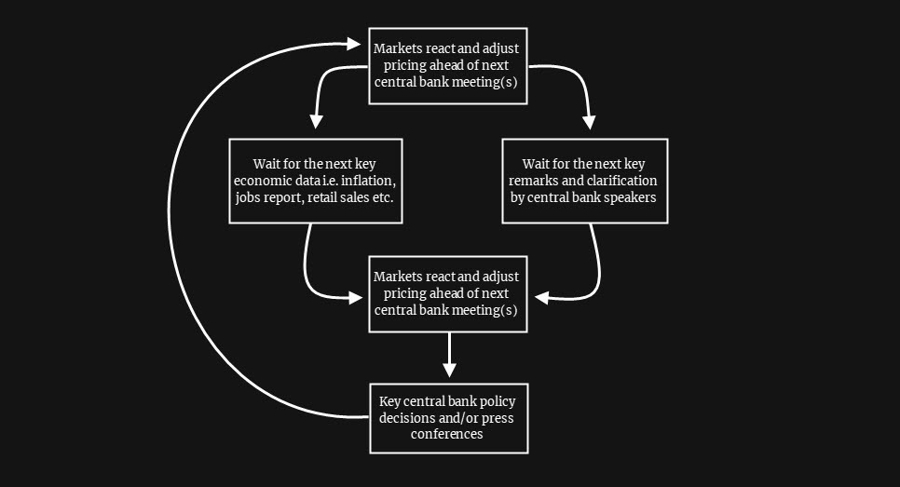 Usual Market Cycle Ahead of Rate Hikes