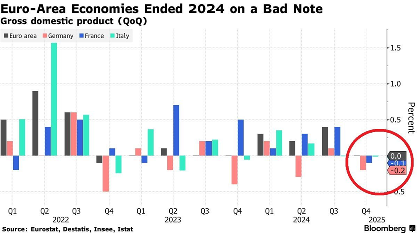 Euro-Area Economies Performance in 2024