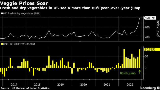 US Vegetable Prices Soar Nearly 40% as Water Cuts Crush Supply