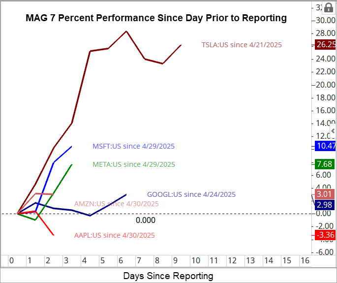 MAG7-Percent Performance