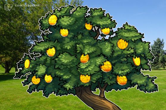 'Buy Bitcoin, plant a tree, lower your time preference': a Sequoia story 