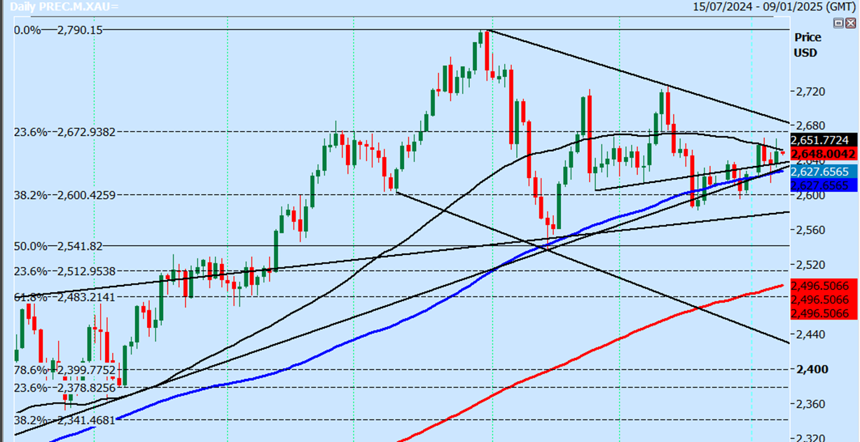 Gold Daily Chart