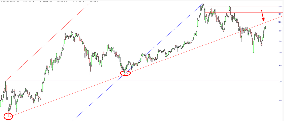 Tesla Trend Line Chart