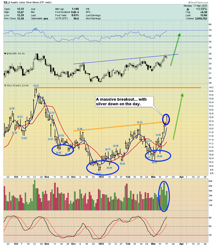 SILJ Daily Chart