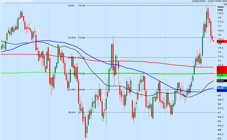 WTI Daily Chart