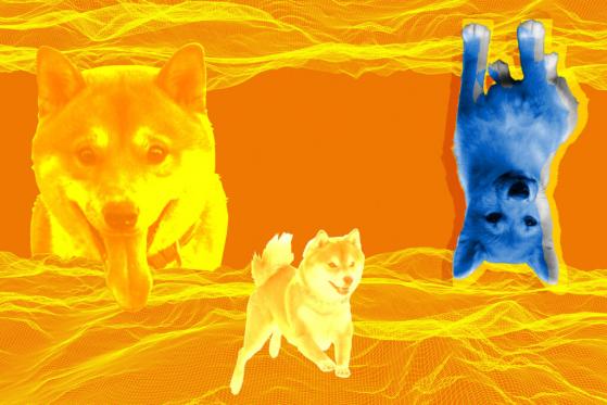 Shiba Inu Meme Token Presents SHIB Metaverse  