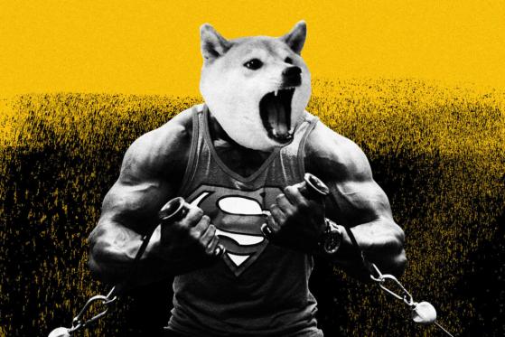 Crypto Flipsider News – Robinhood Tanks, SHIB Gains Muscles, DOGE Wins Hearts, David Lynch Starts NFT Series