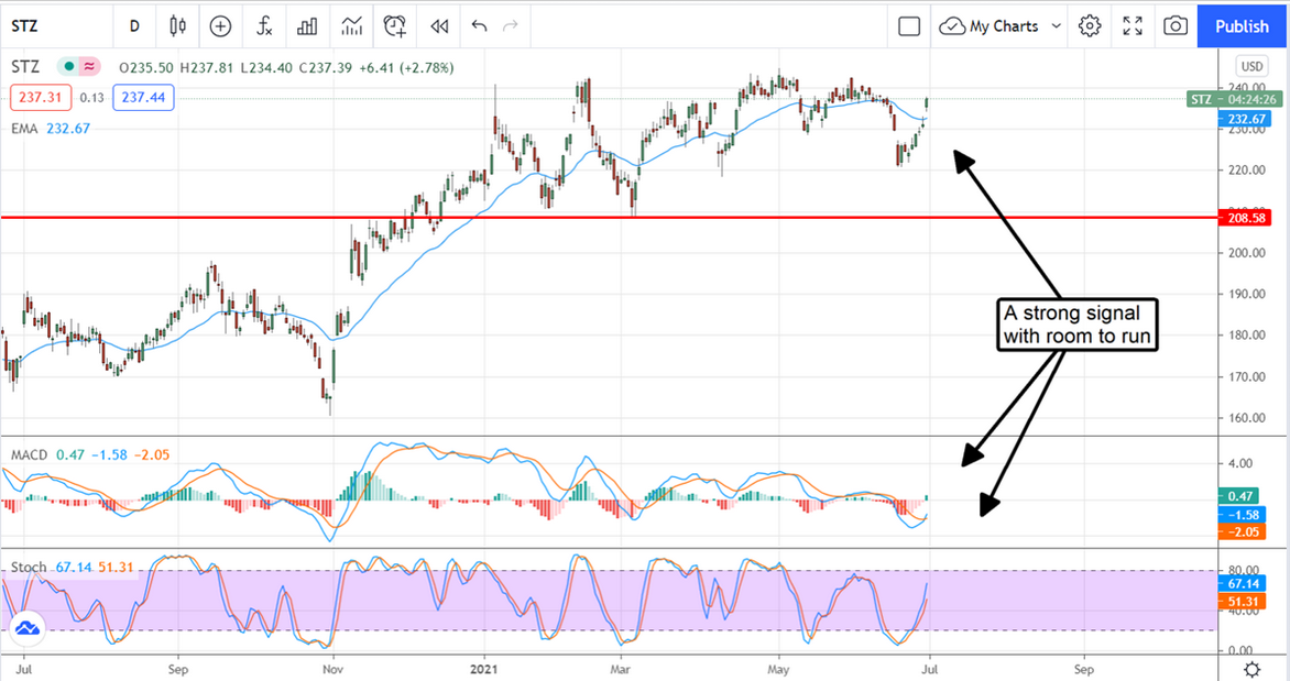 Consstellation Brands Daily Chart