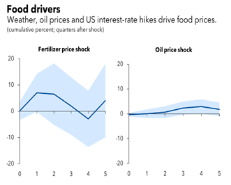 Food price drivers: fertilizer and oil price.